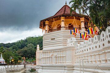 Kandy and Pinnawala Day Excursion from Colombo