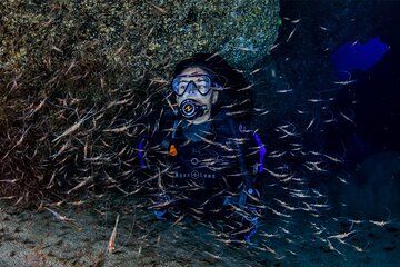 Double Diving Departure in Santa Maria Azores