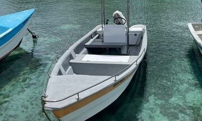 Private Half Day Fishing Experience in Bayahibe