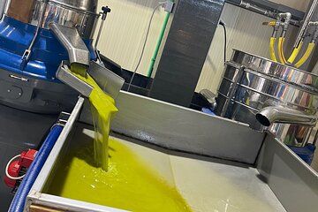 Heraklion Cooking Class Experience + Olive Oil Factory