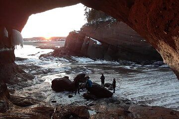 Bay of Fundy Shared Tour Adventure
