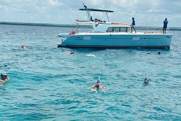 Discover Catalina Island from Punta Cana DR An Escape Journey