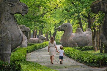 Nanjing Private Tour: Ming Mausoleum, Night View & Local Dinner