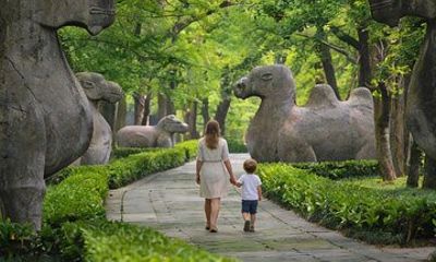 Nanjing Private Tour: Ming Mausoleum, Night View & Local Dinner