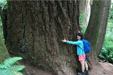 Private Twin Falls Hiking & Waterfall Tour with Treehouse Coffee