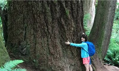 Private Twin Falls Hiking & Waterfall Tour with Treehouse Coffee