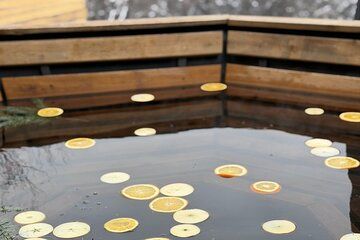 Discover the Ancient Saki Bath Experience in Kazakhstan