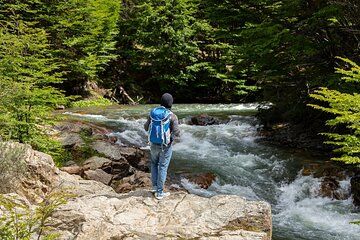 From Ushuaia Discover Tierra del Fuego National Park