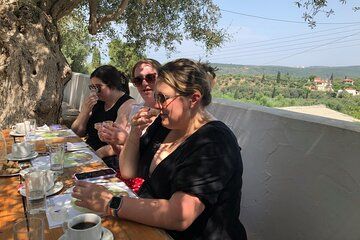 Family Olive Grove Olive Oil Tasting Experience in Messinia