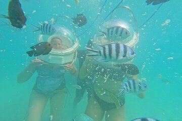 Undersea Walk & North Tour in Private Taxi with Local Lunch