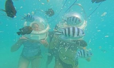 Undersea Walk & North Tour in Private Taxi with Local Lunch