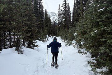 Private Kananaskis Snowshoe and Frozen Falls From Banff Canmore