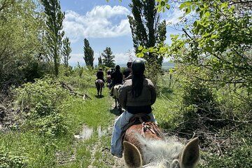 1 Hour Horse Riding Tour at Palomino Ranch