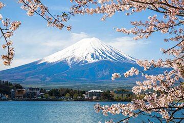 Mount Fuji Highlights Minibus(samll group) Tour from Tokyo