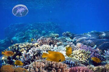 Blue Hole Snorkeling Adventure from Dahab
