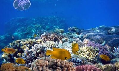 Blue Hole Snorkeling Adventure from Dahab