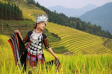 Guilin Longji Rice Terraces Flex Tour Free Explore or Wide View