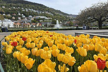 Bergen City Walk and Osterøy Island Scenic Tour with Lunch