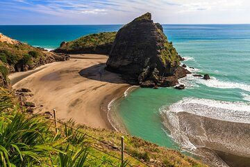 Private Shore Tour: Auckland Wild West Coast Piha & Muriwai