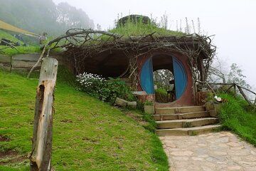 Private Shore Tour from Auckland Hobbiton Movie Set Experience