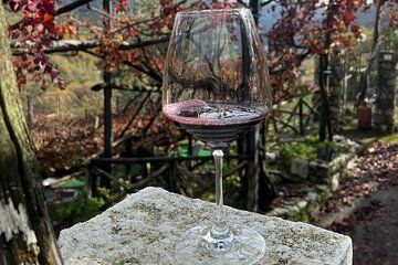 From Naples Amalfi Coast Private Tour with Lunch and Wine Pairing