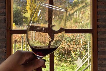 Gourmet El Bolson Patagonian Wine Pairing