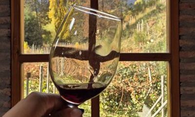 Gourmet El Bolson Patagonian Wine Pairing