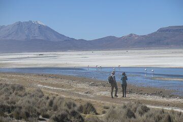 Day Trip And Private Transfer From Arequipa To Puno