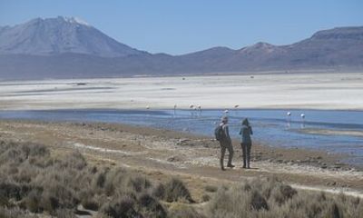 Day Trip And Private Transfer From Arequipa To Puno