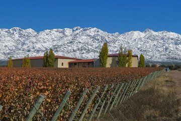 Premium Winery Tour: Clos de los Siete, Piedra Negra & Lunch