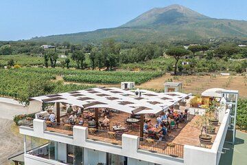 Wine Tasting with Lunch at the Vesuvius Winery