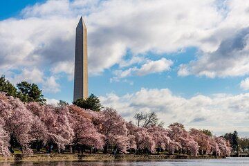 Washington Monument Top View Reserved Entry