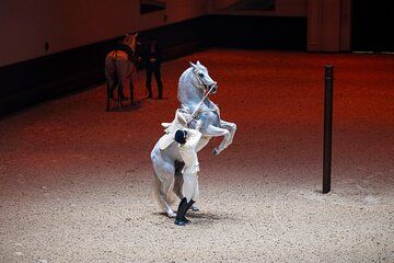 Abu Dhabi Royal Equestrian Arts Show Tickets