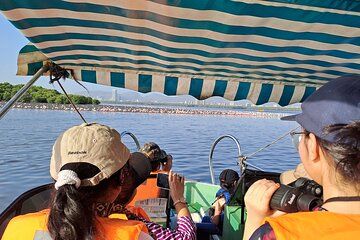 Flamingos, Mangroves & Marine life, A Boat Safari in Mumbai