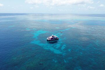 Fly & Snorkelling Adventures