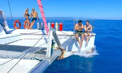Full-Day Great Barrier Reef Private Charter
