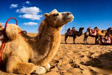 2-Day Unlimited Culture Tour to Turpan and Kashgar from Urumqi by Air and Bullet Train