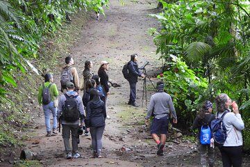 San Jose Birdwatching Nature and Cultural Experience