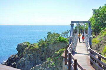 Busan Igidae Coastal Walk and Korean Pancake Cooking Experience