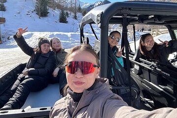 Buggy Adventure to Hobbit Waterfall with Lunch (Half-Day Tour)