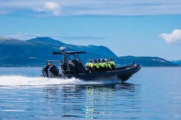 Bergen: Mostraumen Fjord Safari - by Premium RIB Boat