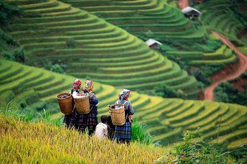 Sapa Village Homestay Experience Tour from Hanoi