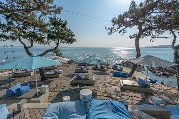 Inclusive Private Busan Landmark Cafe and Dining Tour