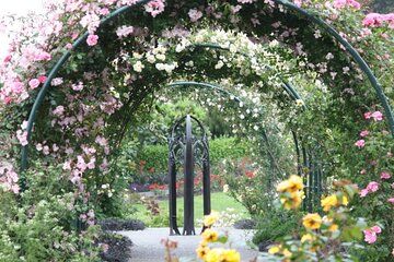 Auckland Discovery Botanic Gardens Mt Wellington and Newmarket