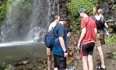 Dark View Fall Rainforest Waterfall Adventure with Scenic Drive