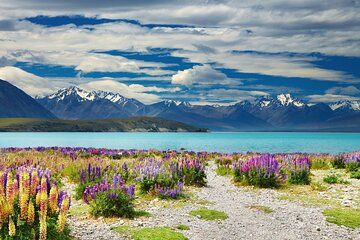 Queenstown to Lake Tekapo: One-Way Scenic Private Transfer