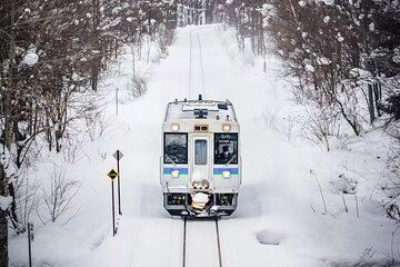 Sapporo Customizable Private Highlights Tour