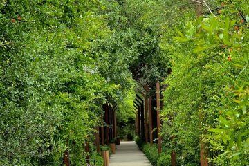 Discover the Nature in Baku Central Botanical Garden