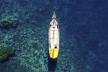 Funchal Sunset Tour Swimming Stop Dolphin and Whale Watching
