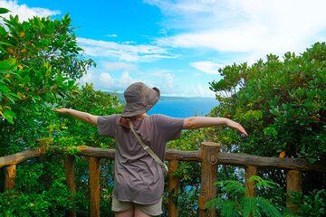 Enjoy Okinawa–Naha Your Way: Private Sightseeing & Photos Tour